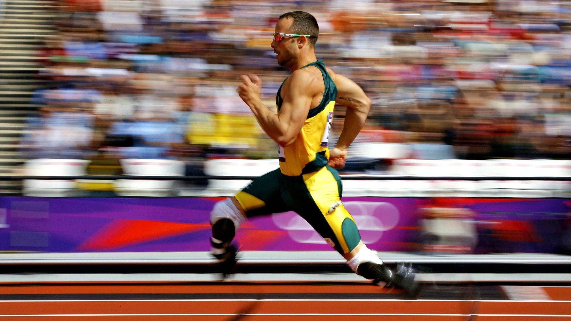 “冠军荣耀：感人瞬间永载史册”，冠军的荣耀